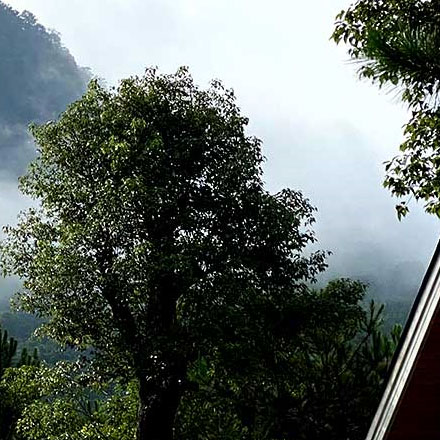 企業(yè)標(biāo)識(shí)導(dǎo)視牌